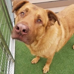 Meet your Posher, Teresa